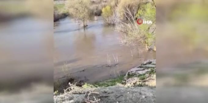 Erzurum'da nehirde 1 tanesi aniden ortaya çıktı. Onu gören balıklar kendilerine kaçacak yer ararken hayvanın bir hareketi dikkat çekti - Resim: 2