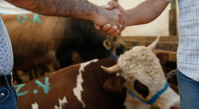 Kurbanın gizli faturası cep yakıyor: Kasap masrafı katlandı! Et eve gelene kadar maliyet arttı - Resim : 2