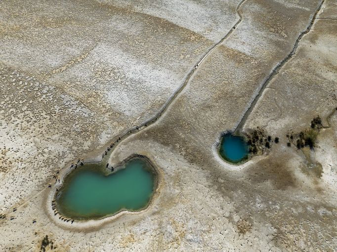 Dünyada savaş çıkarsa bu 50 ürünün değeri uçacak! Türkiye'den 3 ürün var - Resim: 52