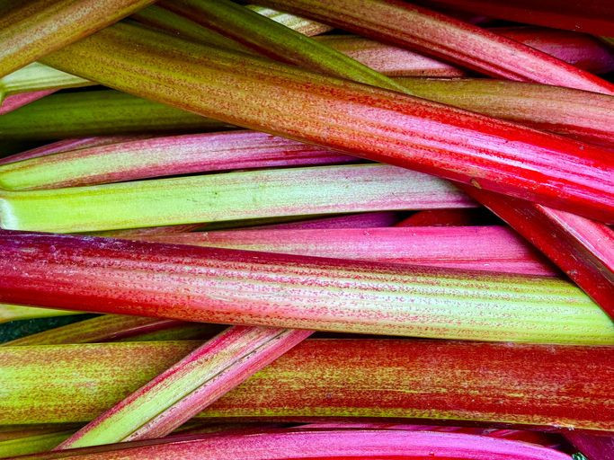 Tek bir ısırığı bile öldürmeye yeter! Bu yemekleri görürseniz sofradan hemen kalkın - Resim: 10