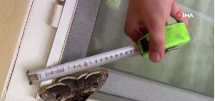 Sakarya’da doğanın içerisinden çıktı geldi... Vatandaş sadece 1 tanesini karşısında görünce neye uğradığını şaşırdı. 16 santimetreye kadar uzanıyordu - Resim: 5