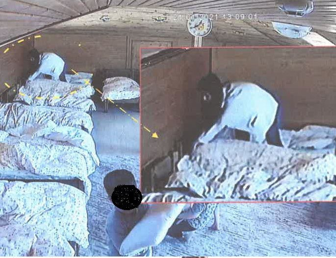 Kreşte çocuklara eziyet! Gerçeği oyuncak ayı ortaya çıkardı - Resim: 1