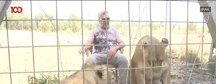Diyarbakırlı iş insanı Ahmet Akbey 14 aslana bakıyor! 'Sizin için vahşi benim için can dostları!' tv100 ekibi aslan çiftliğinde! - Resim : 2