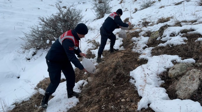 Ağrı'da 10'larca kişilik ekip, karla kaplı araziye tek sıra halinde çıktı. Yanlarında getirdikleri tam 1 tonluk yemi doğaya bıraktılar - Resim : 1