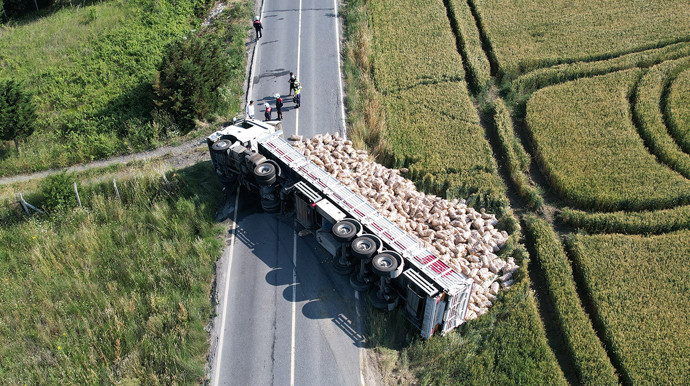 Arnavutköy’de patates yüklü tır devrildi! Tonlarca patates tarlaya döküldü - Resim : 1