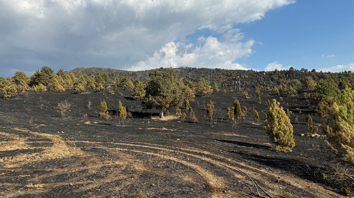 20 saatin sonunda kontrol altına alındı! Dikkat çeken 'karga iddiası' - Resim : 1