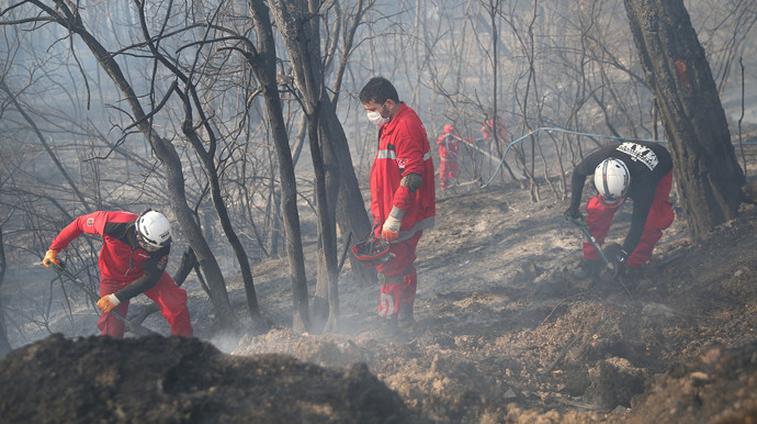 Bursa ve Tokat’ta orman yangını! Son durum ne? OGM açıkladı - Resim : 1