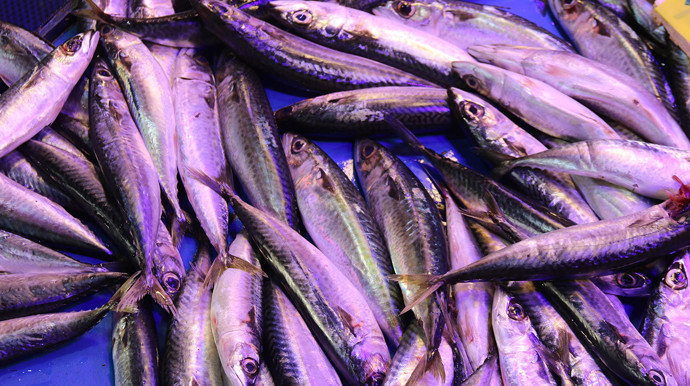 Eskişehir'de akılalmaz olay! Müşteriyi balıkla dövdüler - Resim : 1