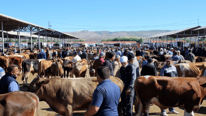 Denizli, Elazığ, Kars'ta aynı anda görüldü, devlet yetkilileri hemen devreye girdi... Tüm hayvan pazarları kapatıldı - Resim : 1