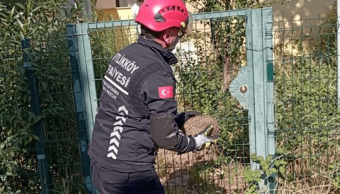 Kafası demir parmakların arasına sıkıştı…Ekipler kirpiyi kurmak için hemen kolları sıvadı - Resim : 1