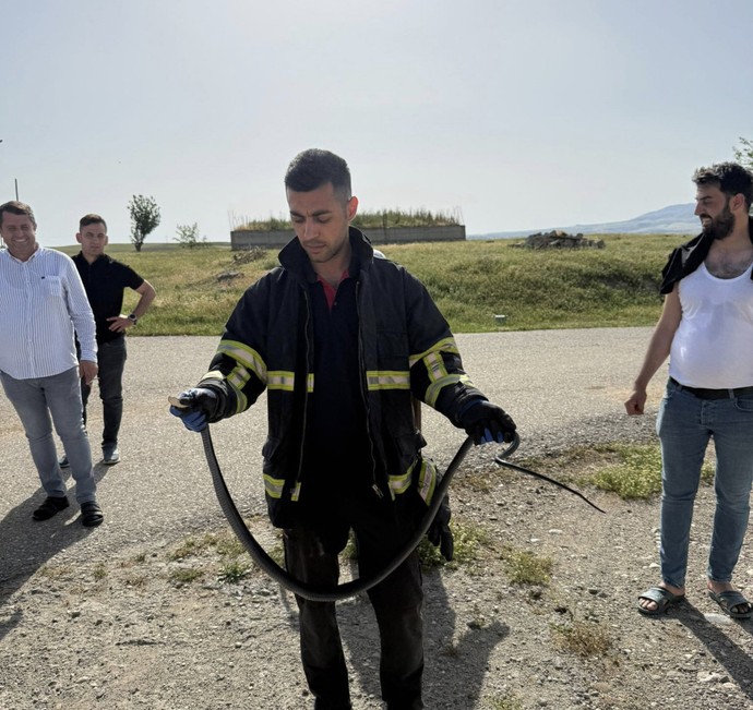 Batman'da doğada ortaya çıktı. 2 metrelik hayvan panik yarattı her an Diyarbakır, Mardin, Muş, Şanlıurfa ve Gaziantep'te de ortaya çıkabilir - Resim : 1