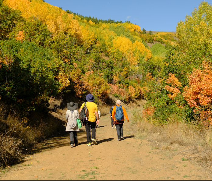 Gümüşhane’de dağlar tabloya döndü! Doğaseverler adeta bir sanat eseri içerisinde yolculuk yaptı - Resim: 9