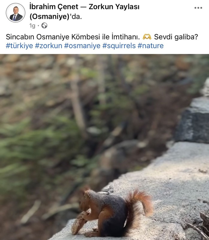 Osmaniye'de nadir görülen 1 tane hayvanın elindeki detay görenleri şaşırttı! Sımsıkı tutmuştu - Resim: 4