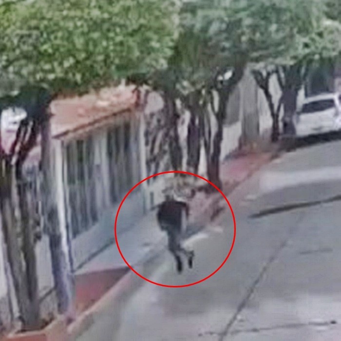 Sosyal medya fenomeninden acı haber! Evinin önünde öldürüldü - Resim : 3