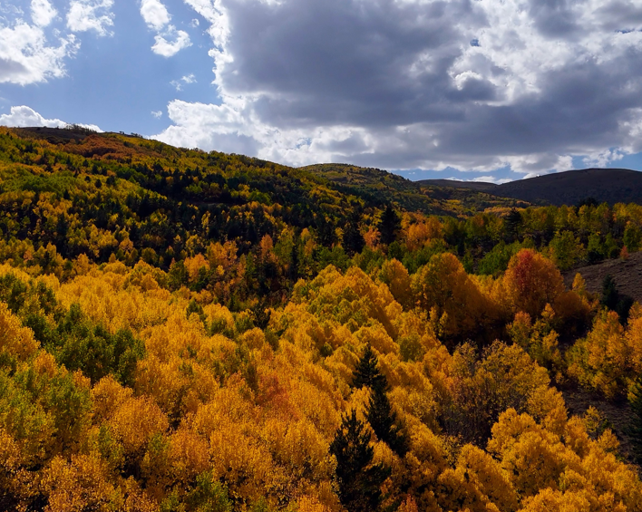 Gümüşhane’de dağlar tabloya döndü! Doğaseverler adeta bir sanat eseri içerisinde yolculuk yaptı - Resim: 4