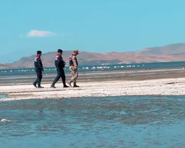 Van'ın Erçek Gölü'nde jandarma nöbette! Onlar için devriye atıyorlar - Resim: 1