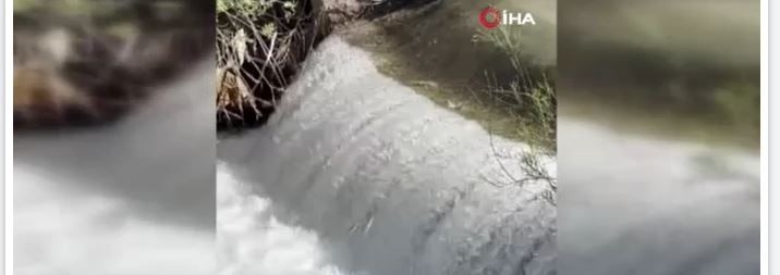 Elazığ'da müthiş doğa olayını görenler hayretler içerisinde kaldı... 1000'lercesi yumurta bırakmak için ters yöne doğru akın etmeye başladı - Resim: 4