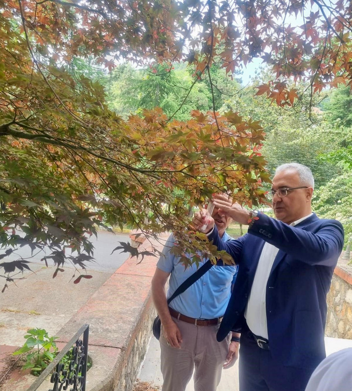 Yalova'da haftada 300.000 ile çoğalma potansiyeli olan istilacı hayvana karşı harekete geçildi. 10 bin 24 tanesi doğaya ona karşı salındı - Resim: 4