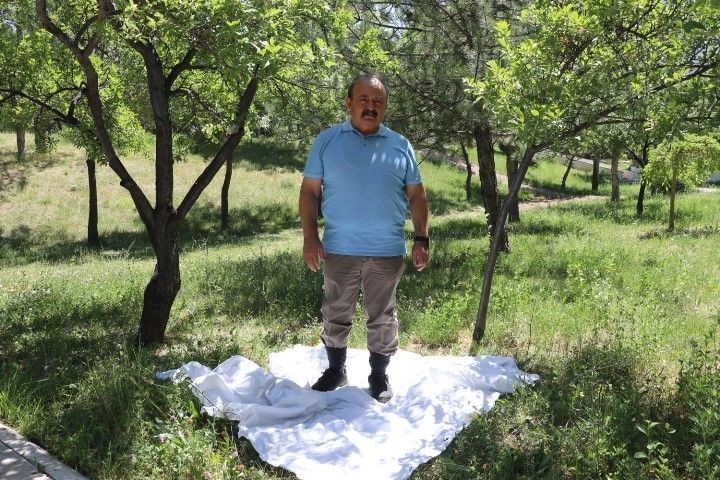 Sivas'tan uyardı! Elazığ, Malatya, Tunceli, Erzincan, Tokat, Gümüşhane, Çankırı'da 100'lercesi ortaya çıktı. Tek 1 hareket yetiyor - Resim: 4