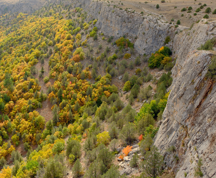 Gümüşhane’de dağlar tabloya döndü! Doğaseverler adeta bir sanat eseri içerisinde yolculuk yaptı - Resim: 10