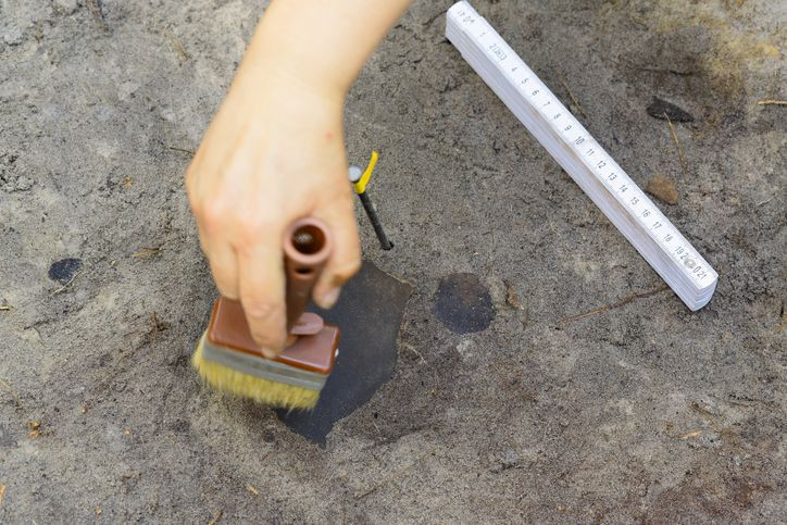 Tarihin en büyük şifresini çözene servet var! Gizemli yazının sırrını ortaya çıkartan 1 milyon dolar alacak - Resim: 14