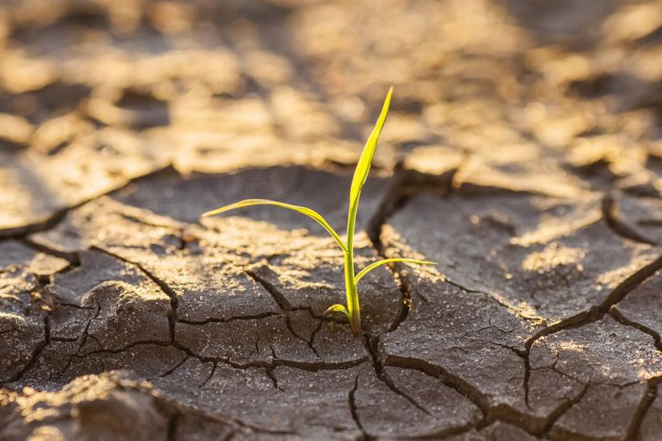 Türkiye’den de 30 milyon kişinin yaşadığı 2 il var! Bu şehirlerde o tarihte kimse kalmayacak - Resim: 7
