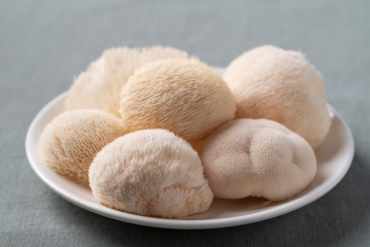 Doğada nadiren görülüyordu! Ormanda buldu, evin balkonunda yapıp 3 bin TL'den satıyor - Resim: 11