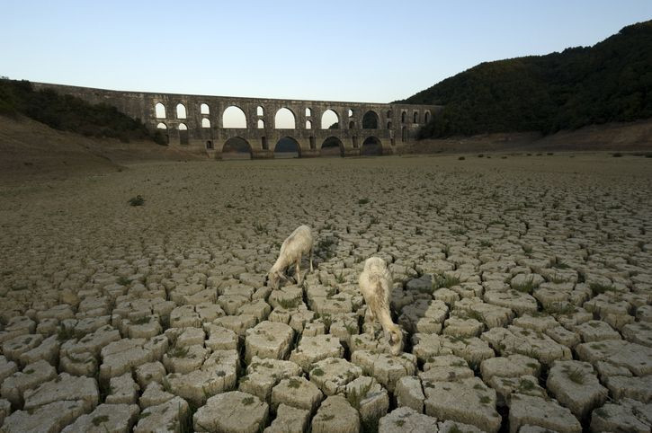 Dünya buna hazır mı? Bu 50 şehirde paramız olsa bile su alamayacağız - Resim: 14