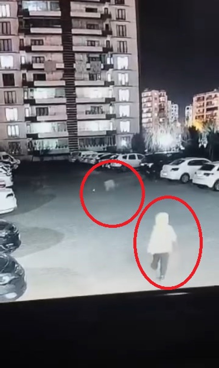 Siteye giren sokak köpeği, anne ve çocuğuna dehşeti yaşattı! O anlar kameraya yansıdı - Resim : 2