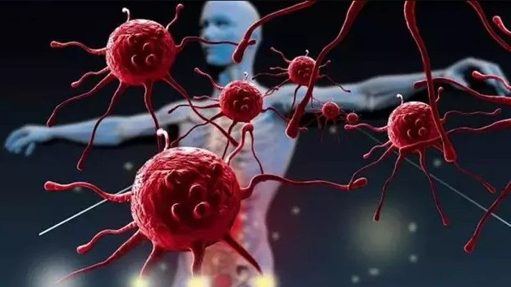 Kan kanseri tedavisinde yeni dönem - Resim: 6