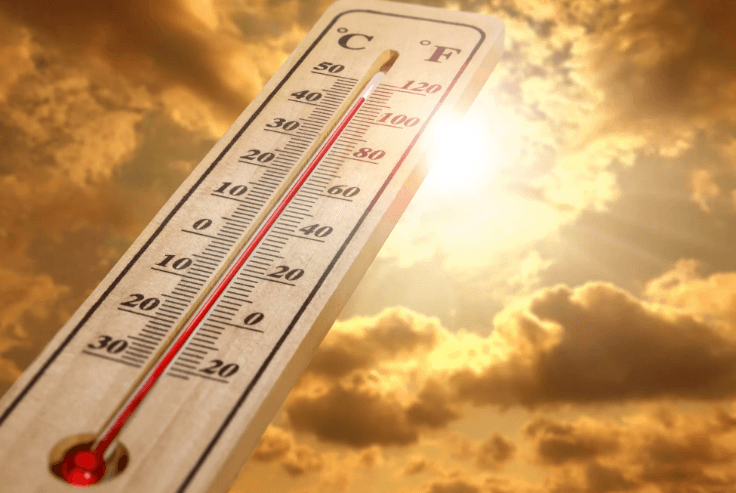 Akhisar, Denizli, Muğla, Konya, Kırşehiri Tunceli ve Antalya... Resmi verilerle açıklandı... Okuyanlar şaştı kaldı, iyi mi kötü mü siz karar verin - Resim: 9