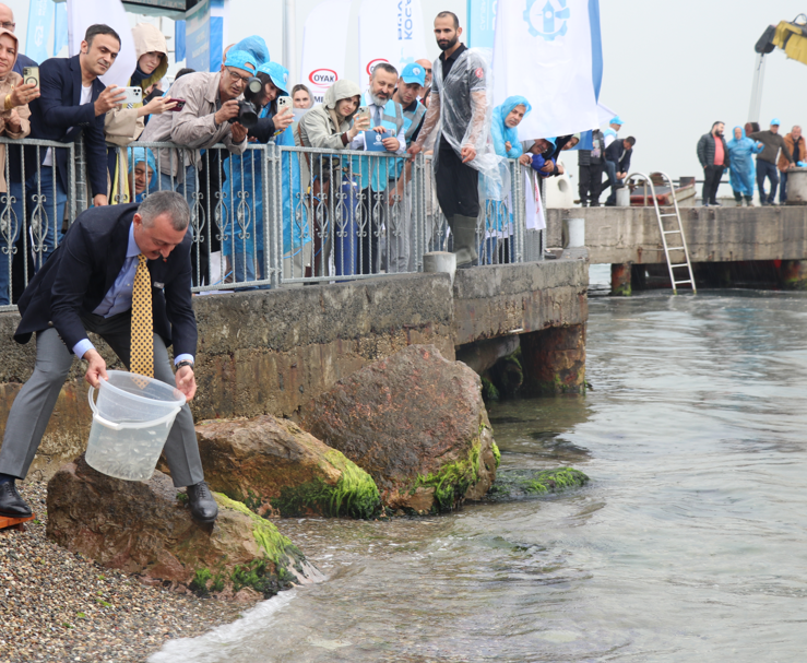 İzmit'te 6.000 tanesi doğaya salındı. 6.000 tanesi rekor sayıyla doğanın her yerini kaplayacak - Resim: 1