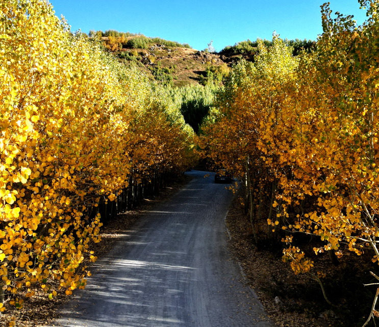 Bitlis’te sonbahar büyüledi! Nemrut Dağı renk cümbüşüne sahne oldu - Resim: 7