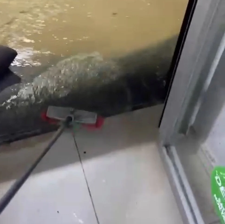 Kuvvetli sağanak 3 ilde hayatı felç etti! Ev ve iş yerlerini su bastı - Resim: 6