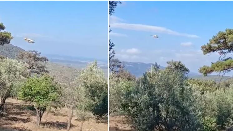 Türkiye orman yangınları ile boğuşuyor! Ekipler alarmda! Bir yangın da İzmir'de başladı! - Resim : 5