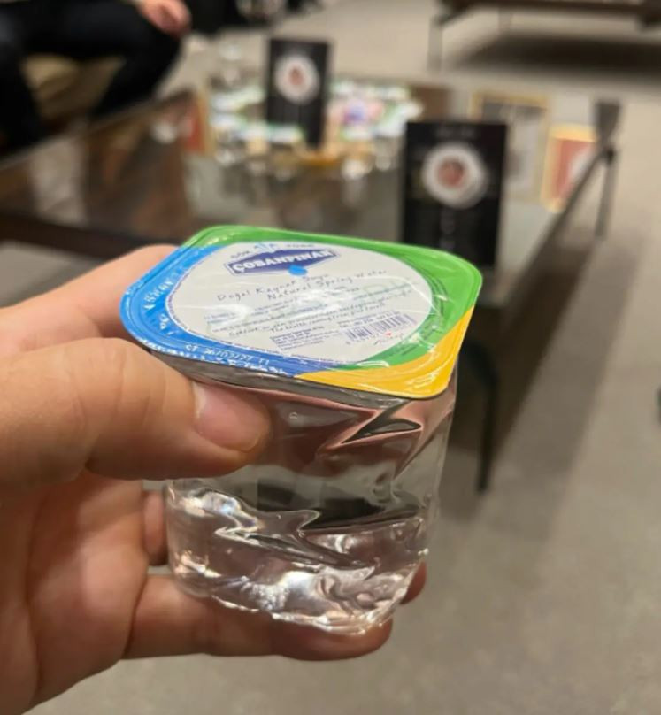Japon Bakan Ankara'da ikram edilen şeyi görünce şoke oldu!