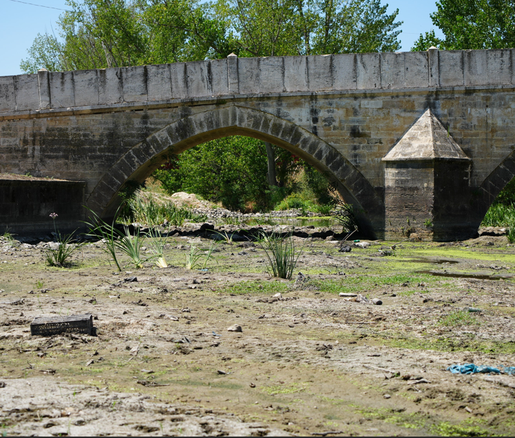 Edirne’de Tunca Nehri’nde su akışı durdu: Vatandaşlar ve üreticiler önlem istiyor - Resim: 8