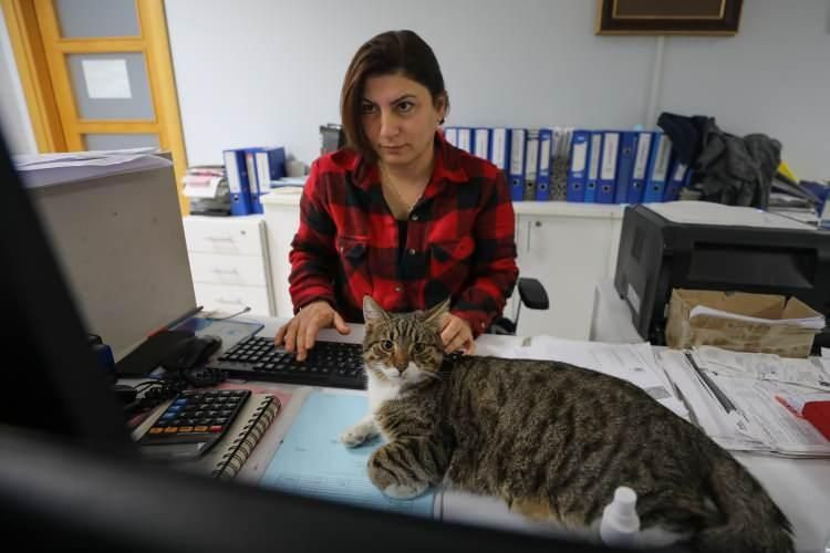 Makam odasını 16 sokak köpeğiyle paylaşıyor - Resim: 4