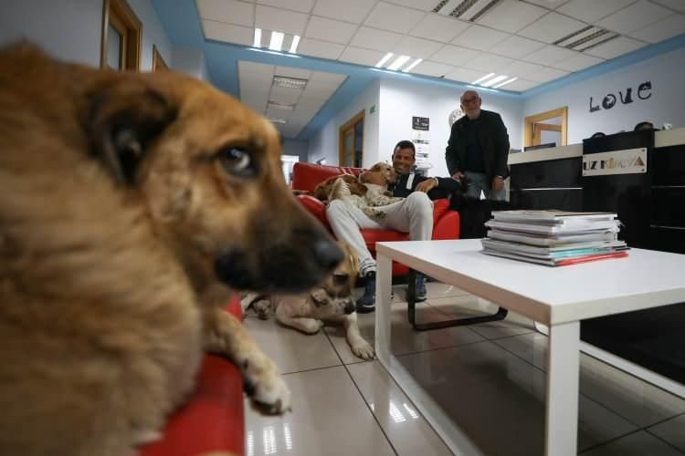 Makam odasını 16 sokak köpeğiyle paylaşıyor - Resim: 3