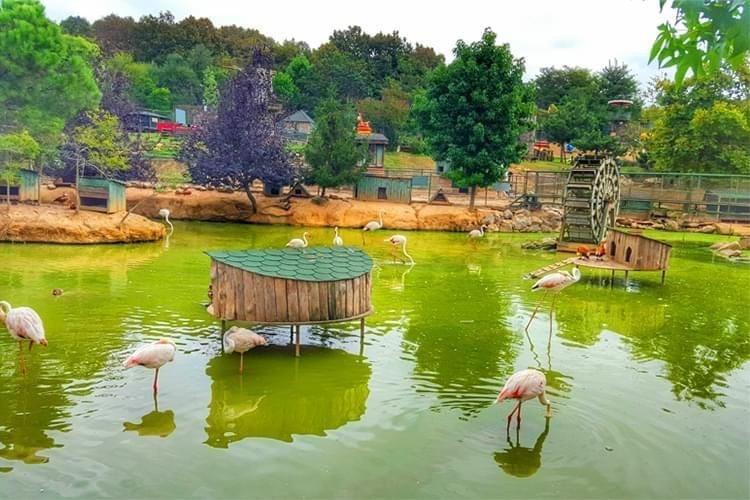 Bayram tatilinde nereye gidebilirim? Bayramda İstanbul'a yakın alternatif tatil yerleri... - Resim: 2