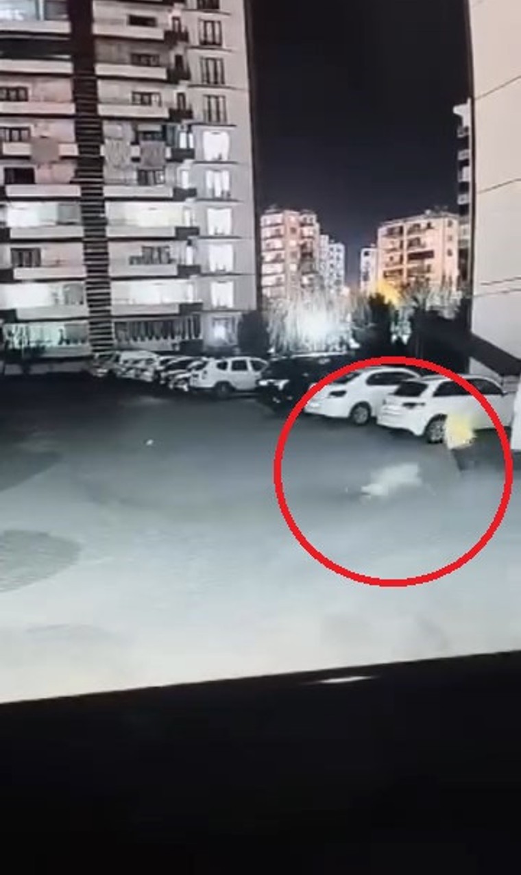 Siteye giren sokak köpeği, anne ve çocuğuna dehşeti yaşattı! O anlar kameraya yansıdı - Resim : 3