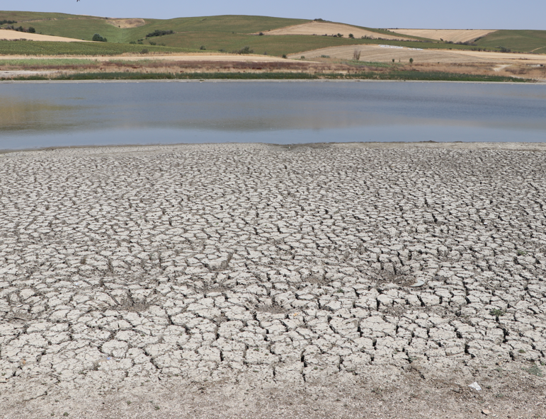 Tekirdağ’da sıcaklar Yeşilsırt Göleti’ni vurdu. Su çekildi, balıklar kıyıya vurdu - Resim: 2