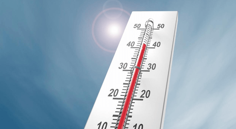 Akhisar, Denizli, Muğla, Konya, Kırşehiri Tunceli ve Antalya... Resmi verilerle açıklandı... Okuyanlar şaştı kaldı, iyi mi kötü mü siz karar verin - Resim: 6