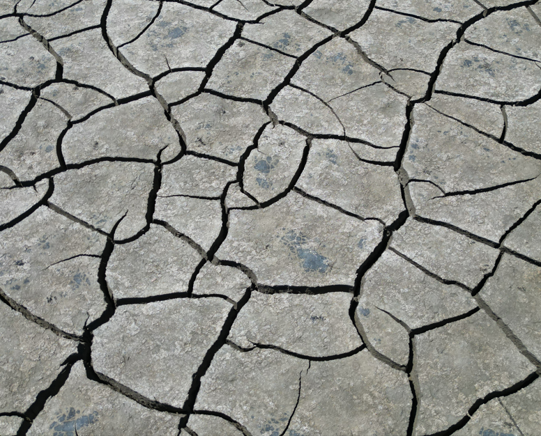 Sivas'ın ulusal öneme sahip gölü yok olma tehlikesinde. Göçmen kuşlar bile orayı terk ediyor - Resim: 4