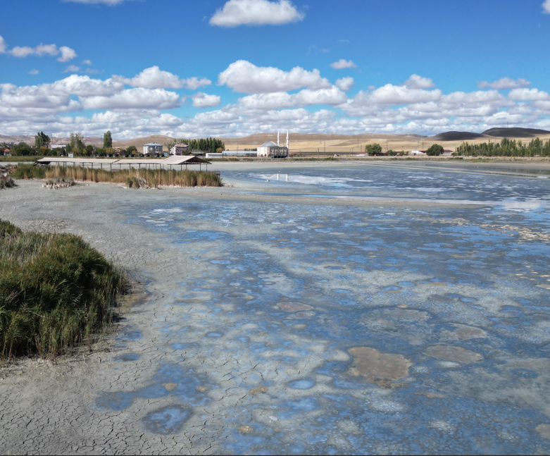 Çabalar yetersiz kaldı! Kuş cenneti Ulaş Gölü tamamen kurudu. Artık geri dönüş yok - Resim: 4