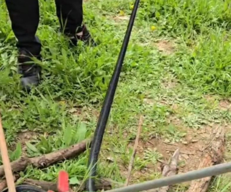 Şırnak'ta odun toplamaya giden kadının karşısında doğada 2 metreyle bir anda çıktı. Hayvanı görünce elleri resmen korkudan titredi - Resim: 4