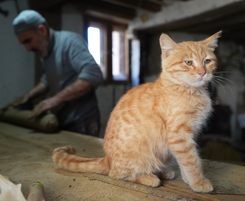 Bayburt'un son tandır ustası mesleğini yaşatıyor! 3 kuşaktır devam ediyor - Resim: 7
