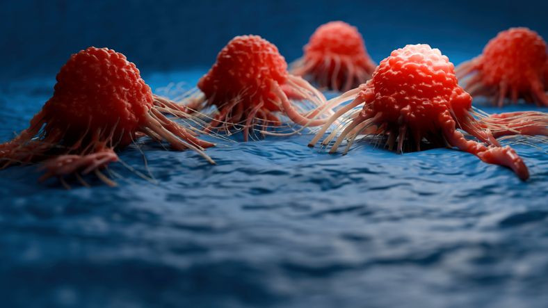 Türkiye'de 85 milyonun bilmesi lazım! Hiç belirti vermiyor, 3 ayda kara toprağa gömüyor - Resim: 4