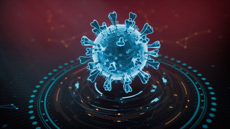 Dünya alarma geçti: H5N5 virüsü dünyada ilk kez can aldı! - Resim: 4