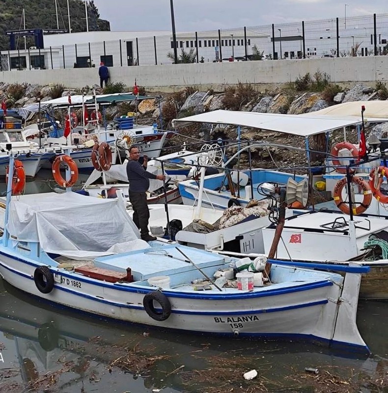 Marmara bölgesine doğru her an 120 hızla basıp istilaya gelebilir. Resmi Gazete'de de yayımlandı. Onu gören herkes hayvanı yok etmeli - Resim: 2